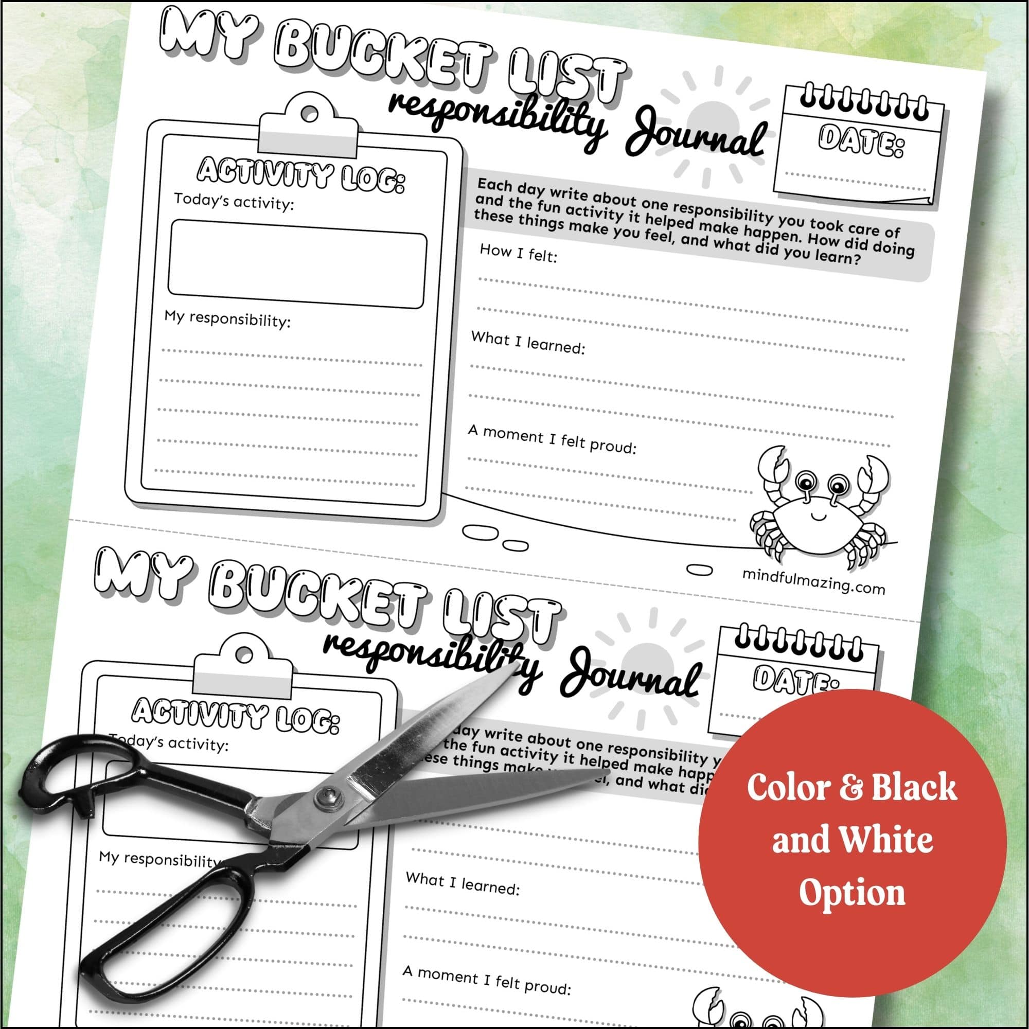 Summer Bucket List Taking Responsibility Activities