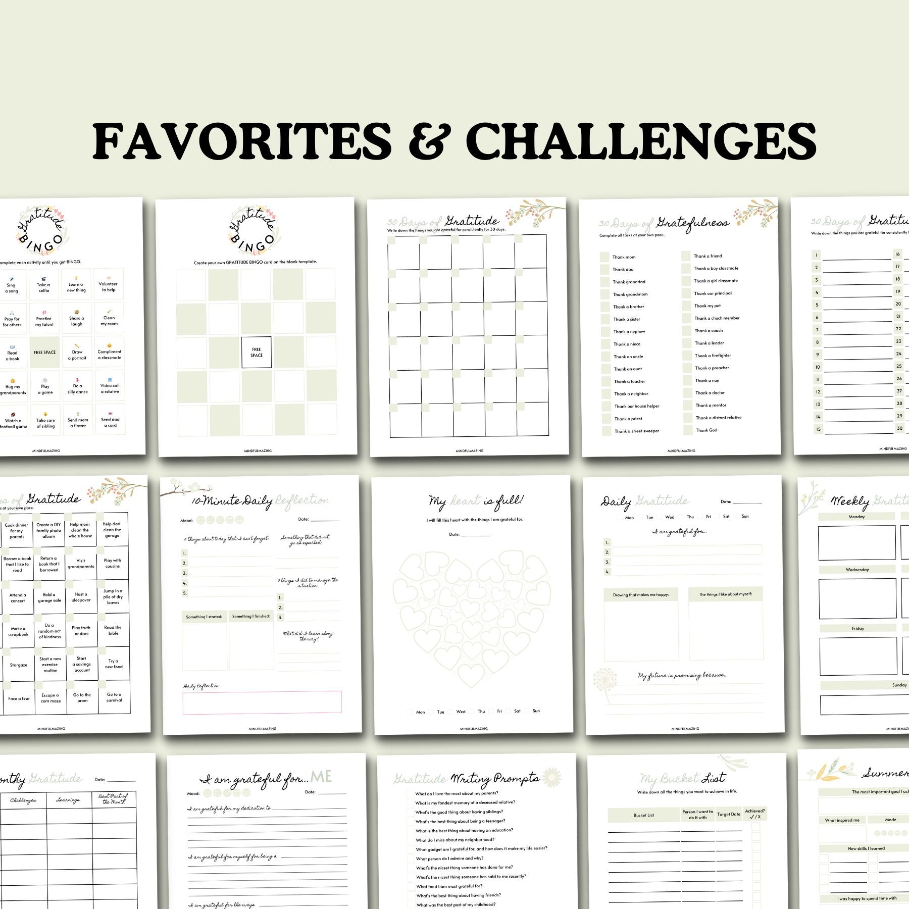 Teenage Gratitude Kit & Journals