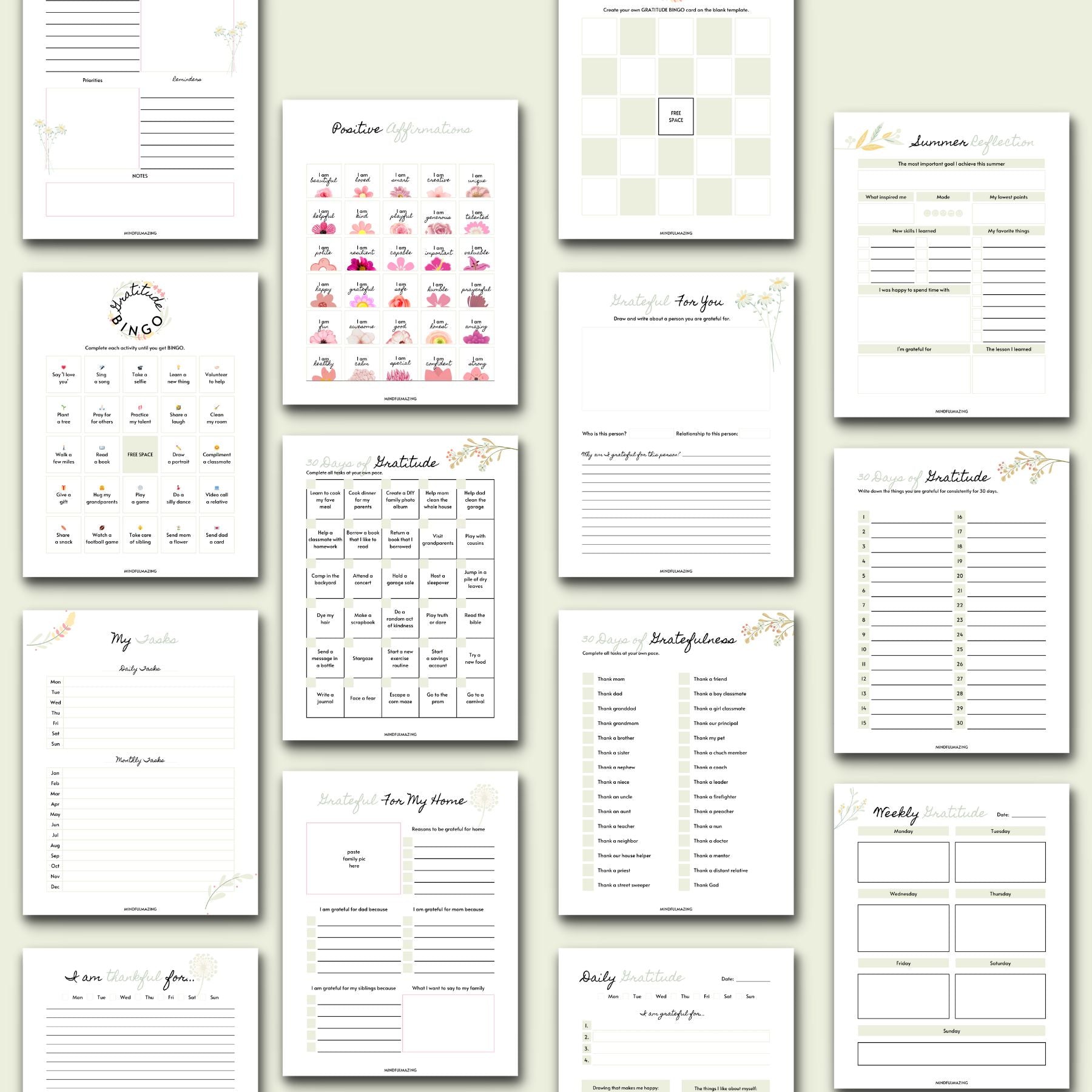 Teenage Gratitude Kit & Journals