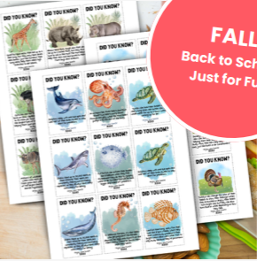 Animal Facts Lunch Box Notes
