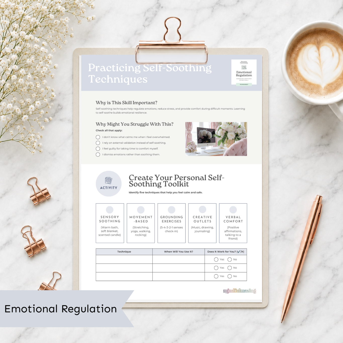 The Executive Function Toolkit for Teens and Adults