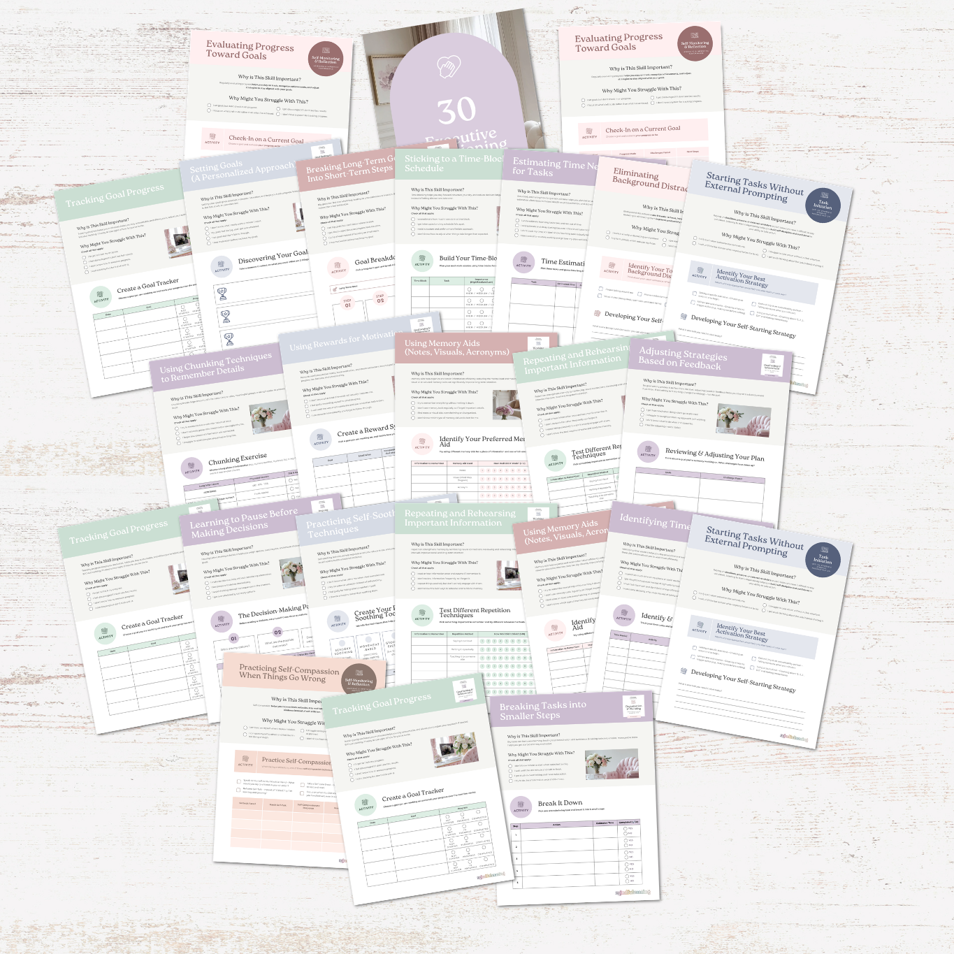 The Executive Function Toolkit for Teens and Adults