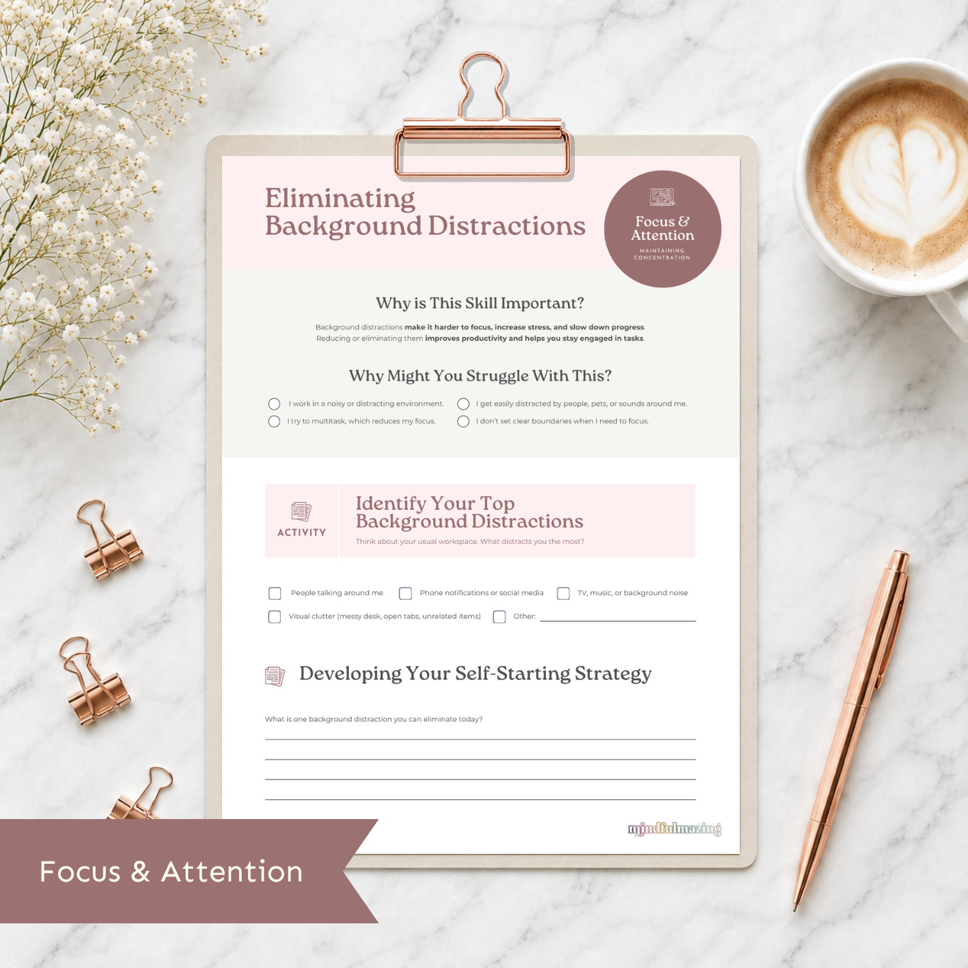 The Executive Function Toolkit for Teens and Adults