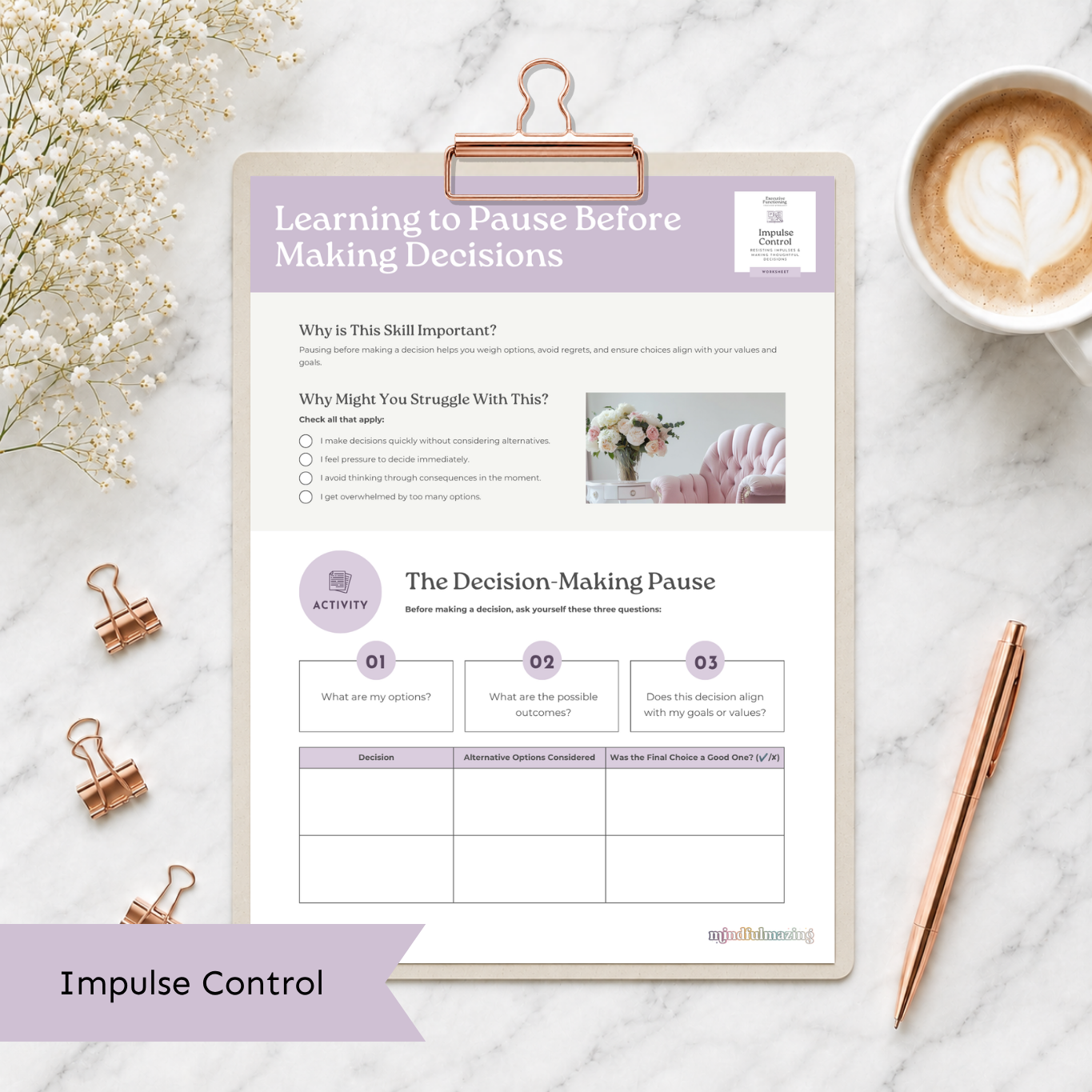The Executive Function Toolkit for Teens and Adults