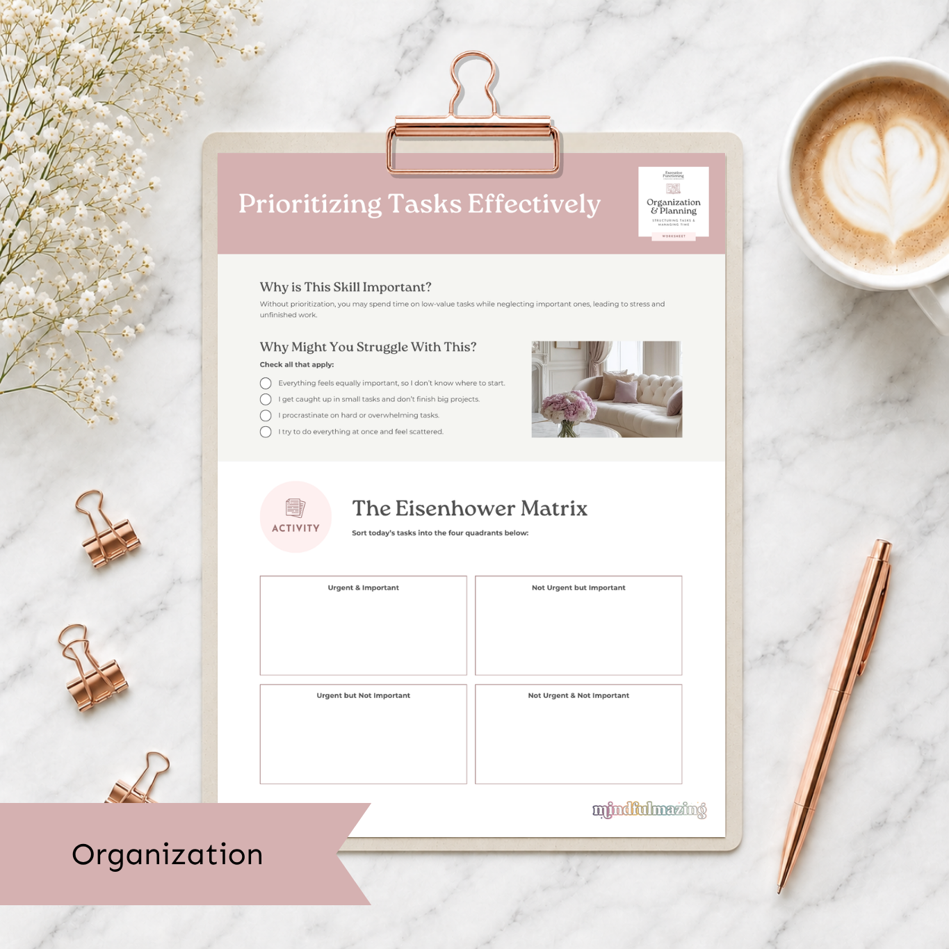 The Executive Function Toolkit for Teens and Adults