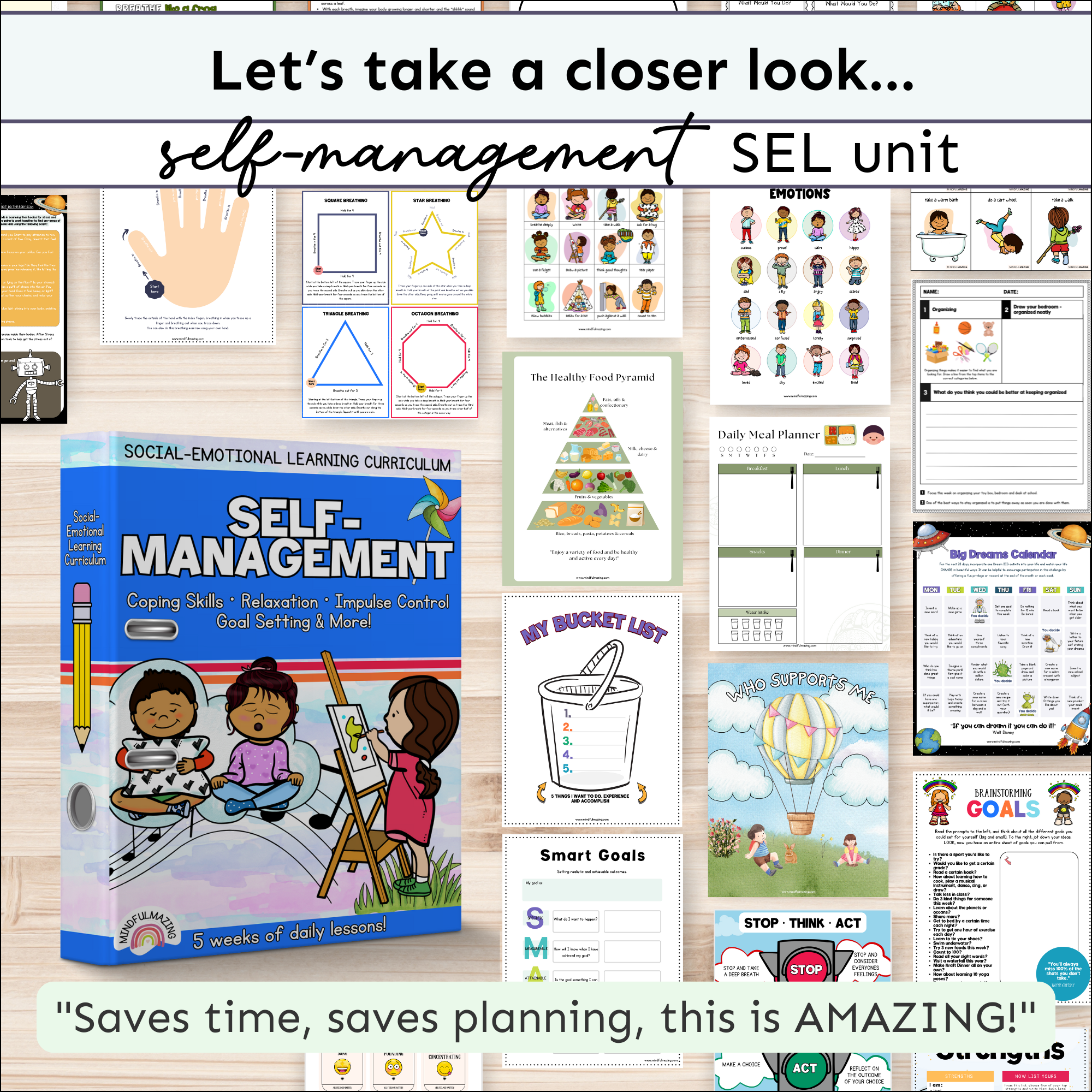 Self-Management Social-Emotional Learning Unit (ages 3 - 8)