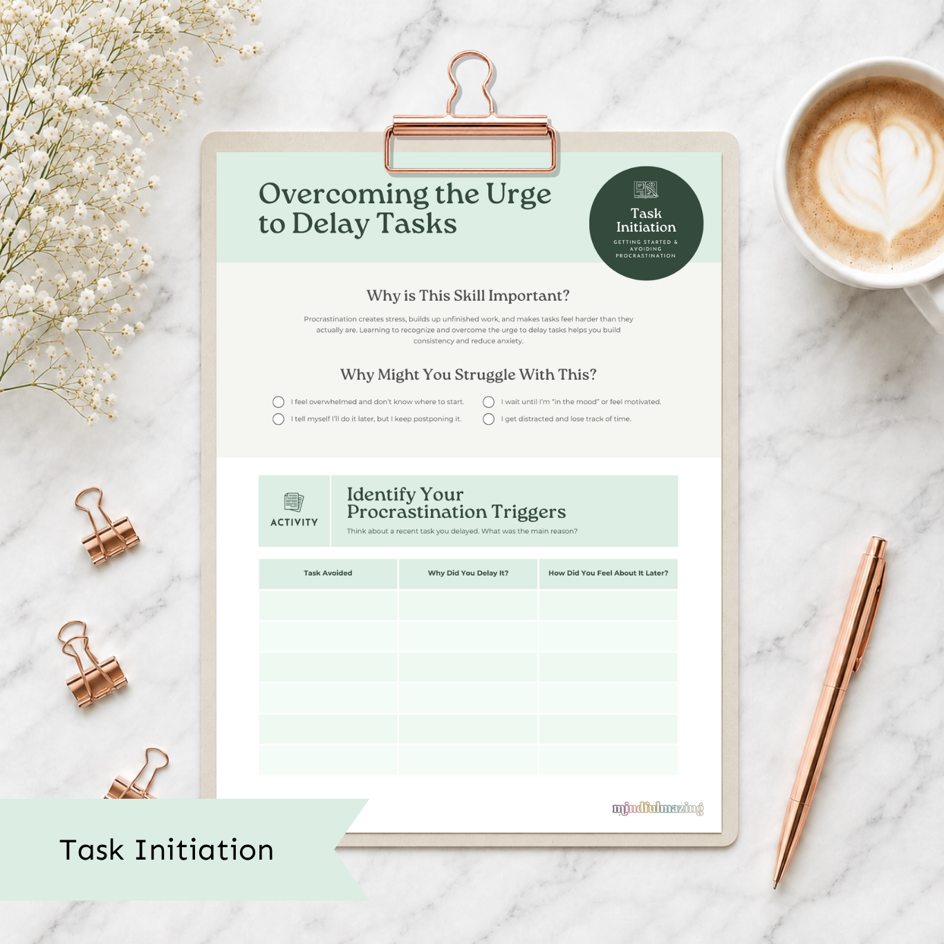 The Executive Function Toolkit for Teens and Adults